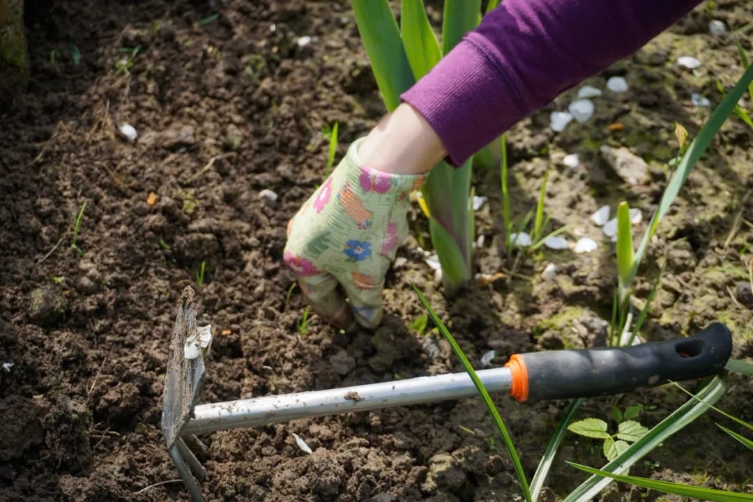 Skuteczne sposoby na pozbycie się chwastów na cmentarzu bez chemii