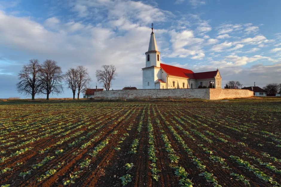 Ile ziemi ma kościół w Polsce? Zaskakujące fakty o gruntach Kościoła