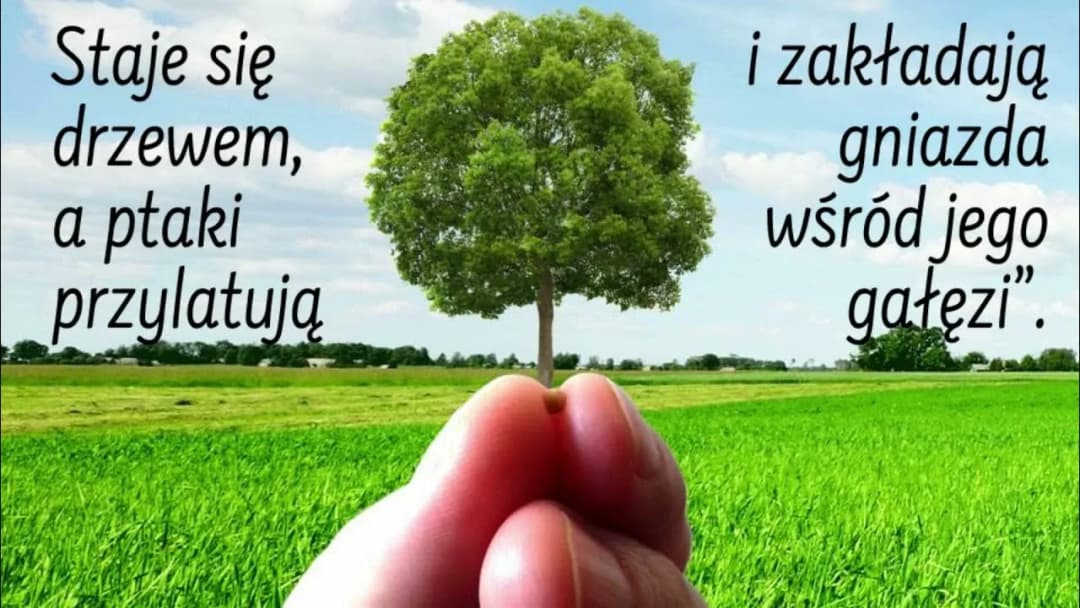 Przypowieść o ziarnku gorczycy streszczenie – znaczenie i przesłanie biblijne