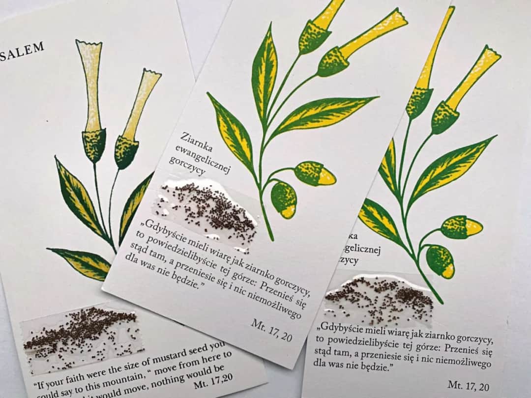 Przypowieść o gorczycy – znaczenie, symbolika i interpretacja w nauczaniu Jezusa