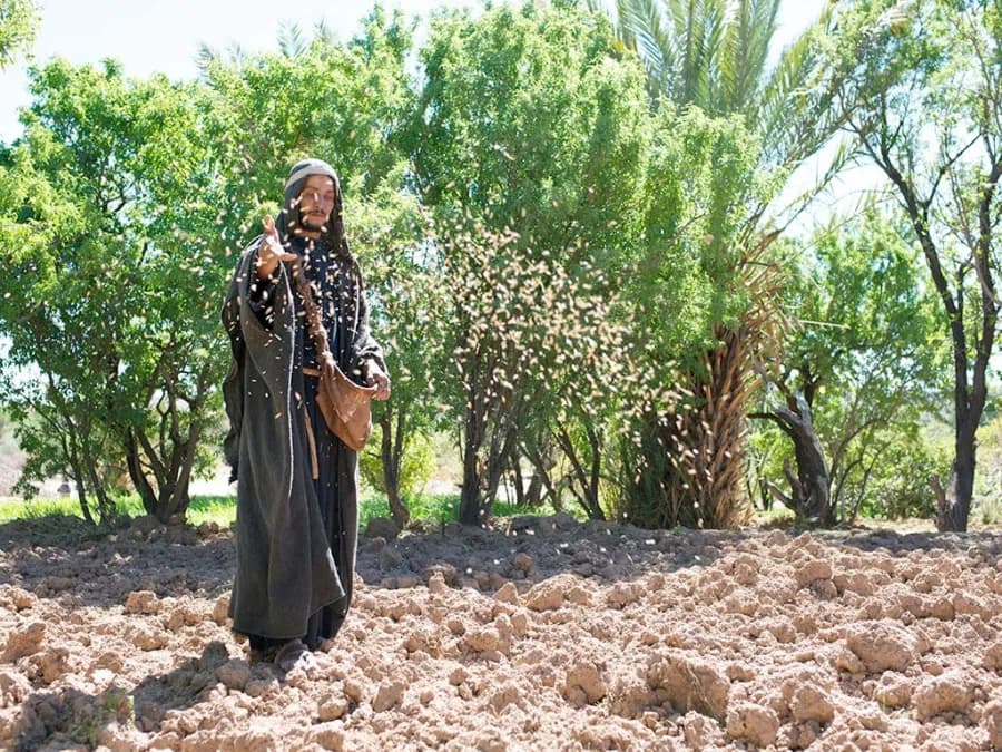 Przypowieść o ziarnie: tajemnice wiary i jej wpływ na życie